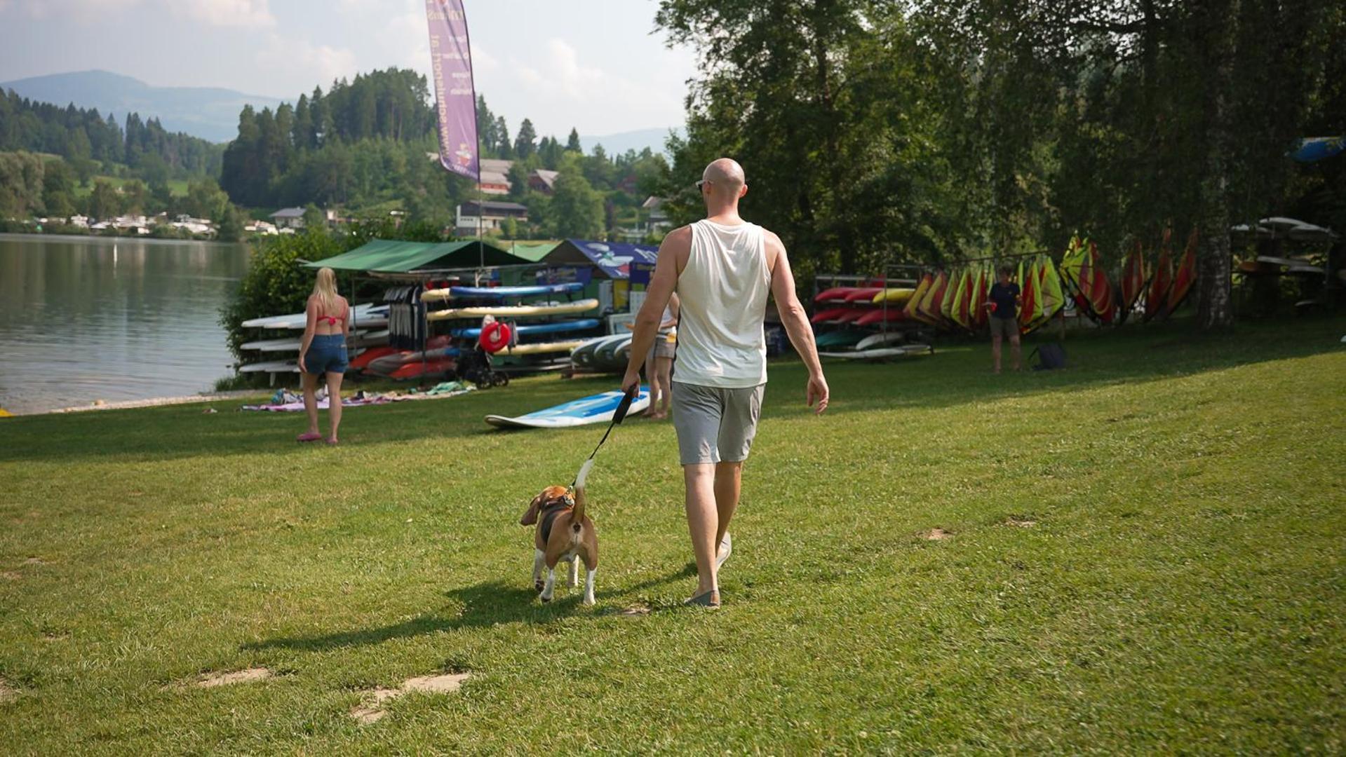 Feriendorf Am Maltschacher See Фельдкирхен  Экстерьер фото